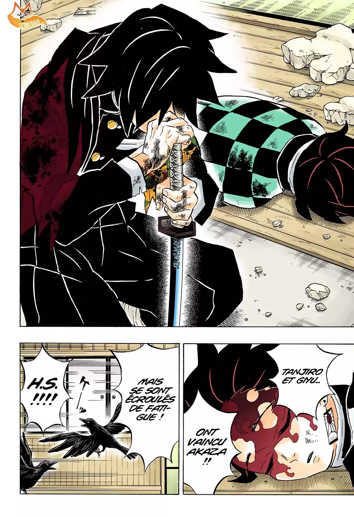 Demon Slayer Volume 18 page 101