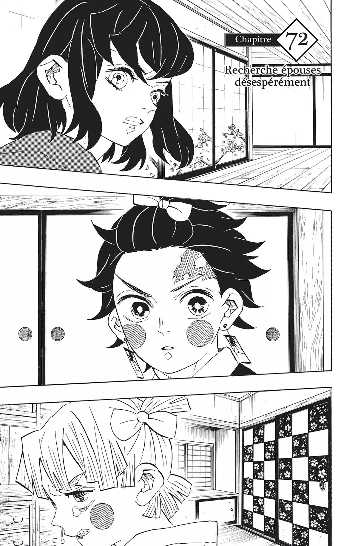 Demon Slayer Volume 9 page 28