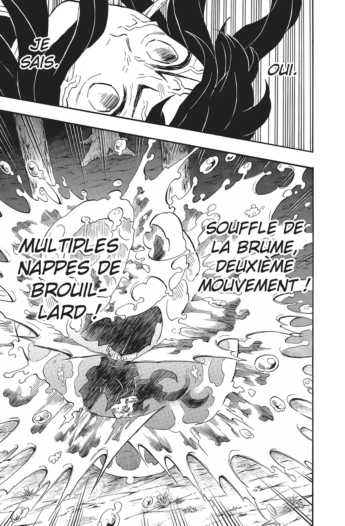 Demon Slayer Volume 14 page 43