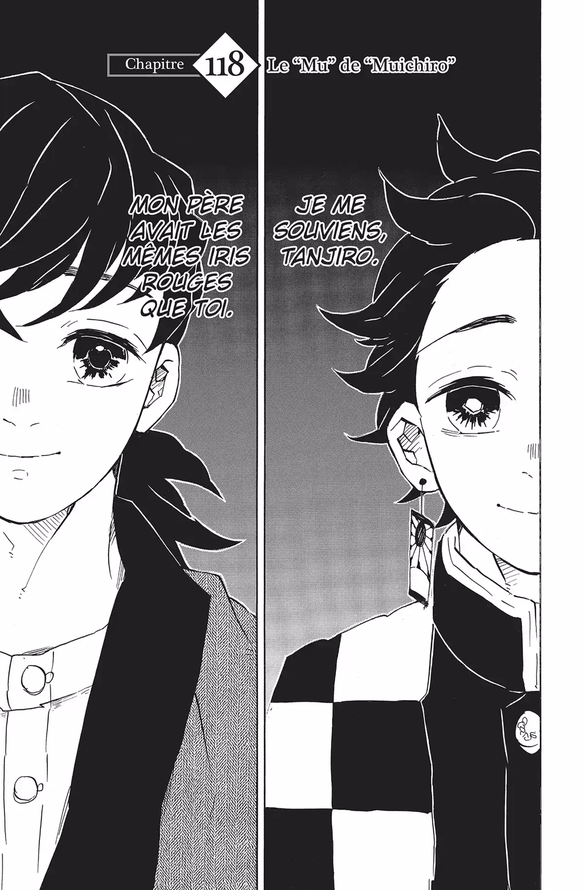 Demon Slayer Volume 14 page 45
