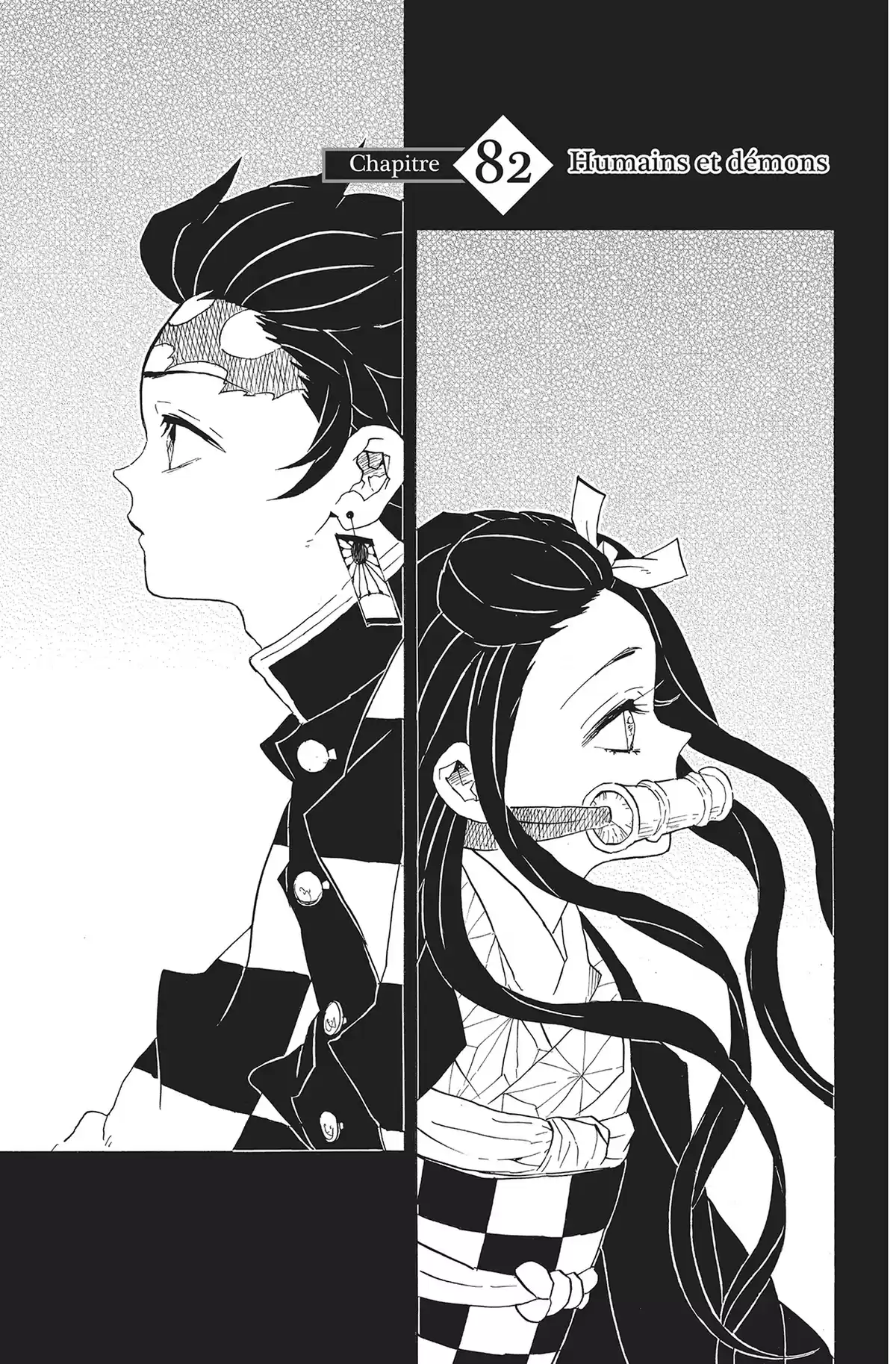 Demon Slayer Volume 10 page 46