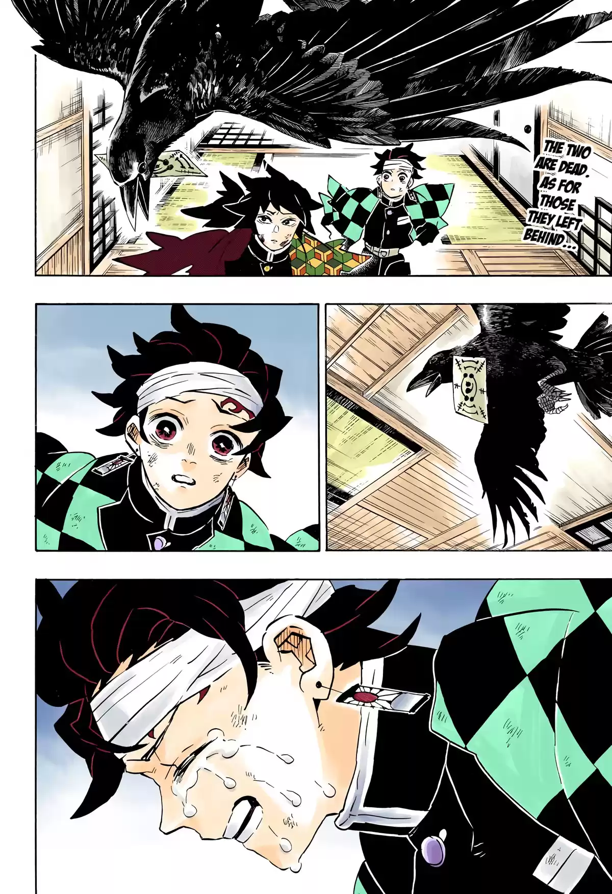 Demon Slayer Volume 21 page 22