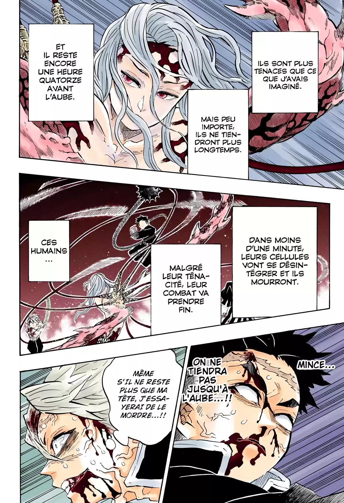 Demon Slayer Volume 22 page 11