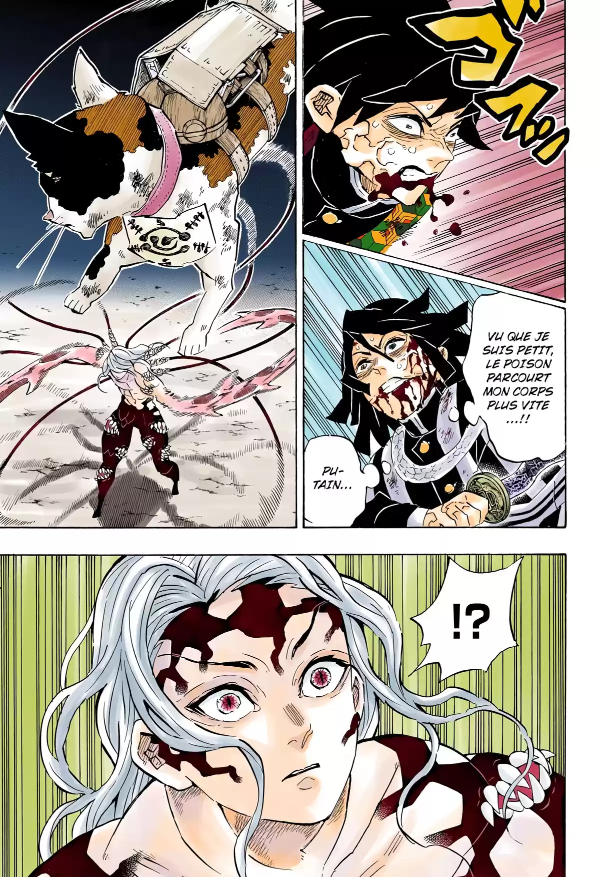 Demon Slayer Volume 22 page 12