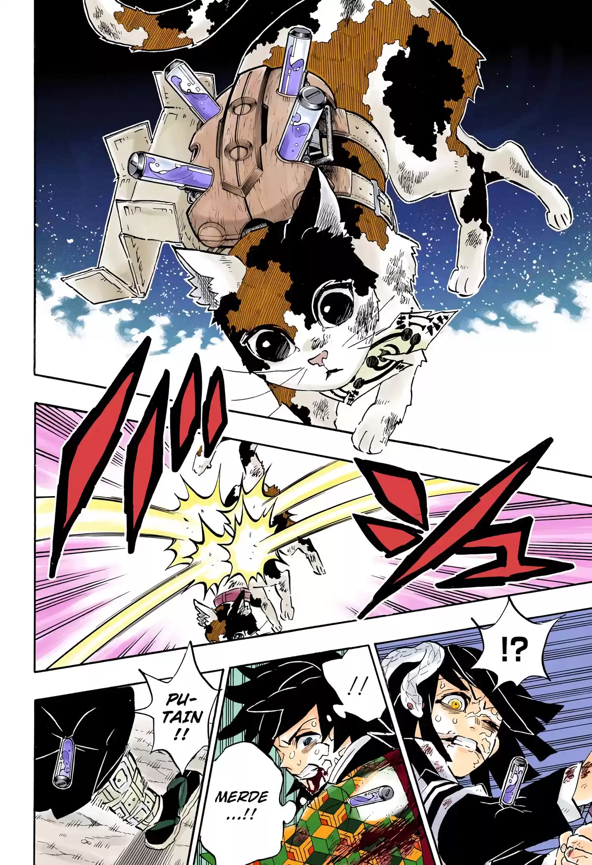Demon Slayer Volume 22 page 13