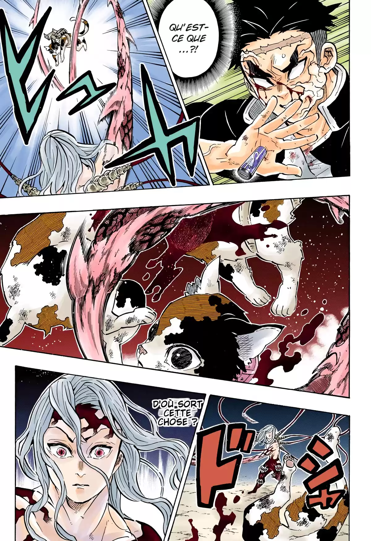 Demon Slayer Volume 22 page 14
