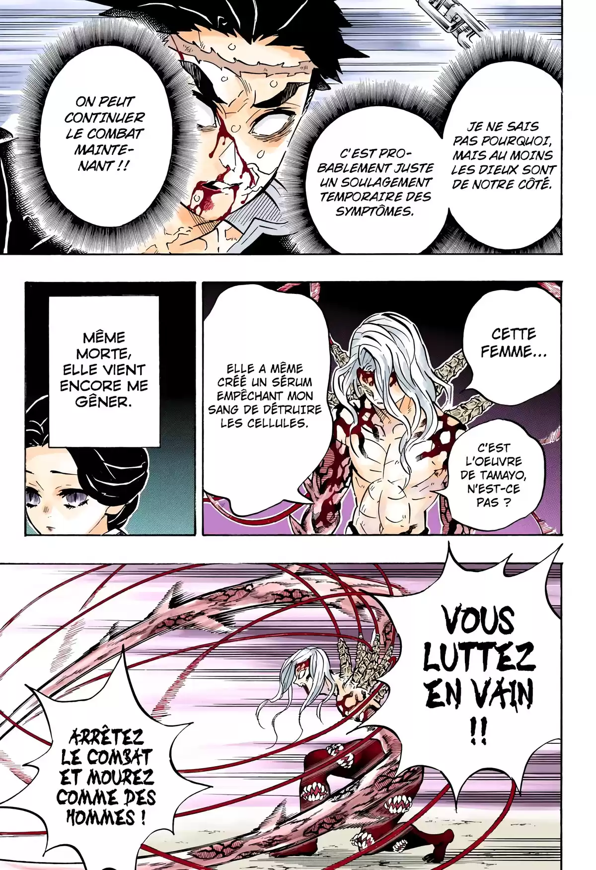 Demon Slayer Volume 22 page 16