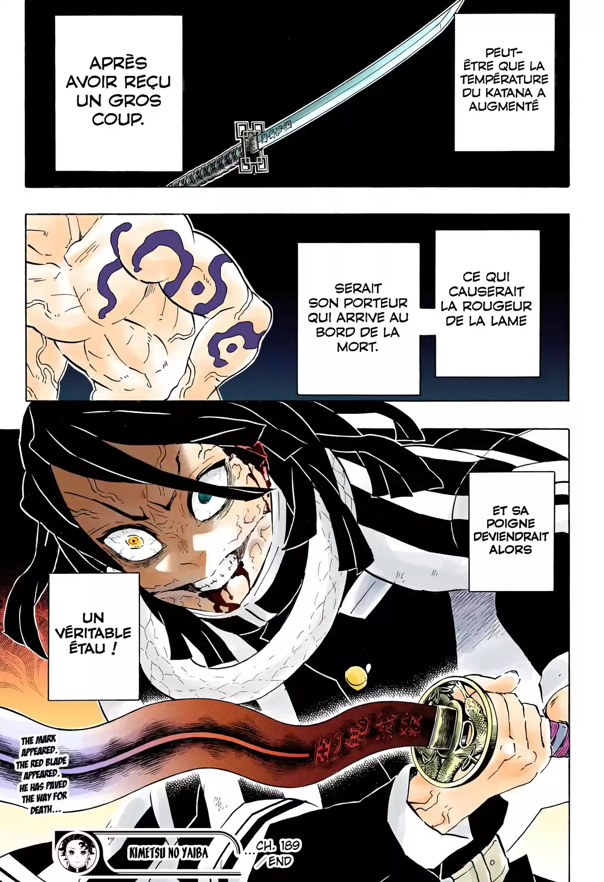 Demon Slayer Volume 22 page 20