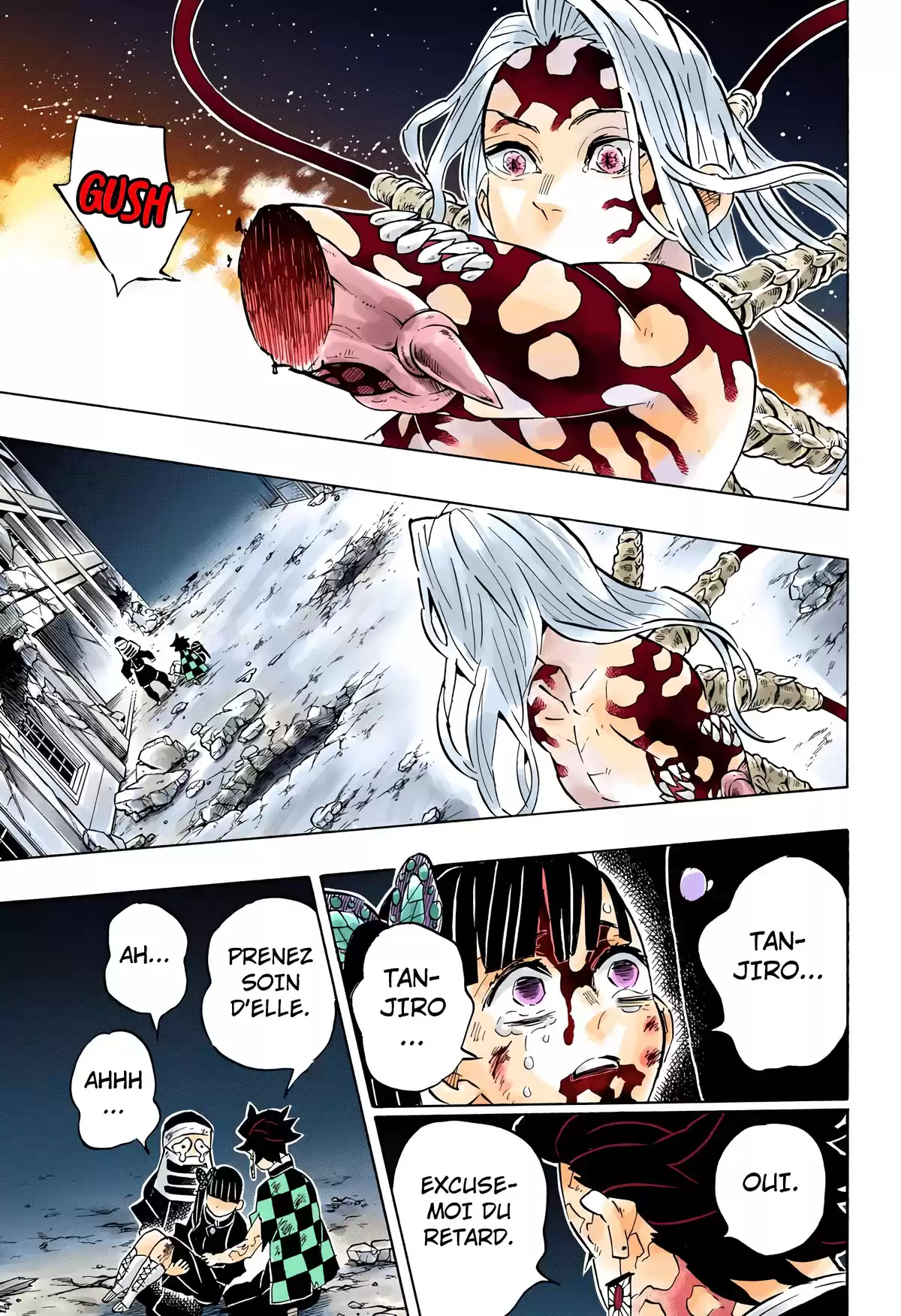 Demon Slayer Volume 22 page 59
