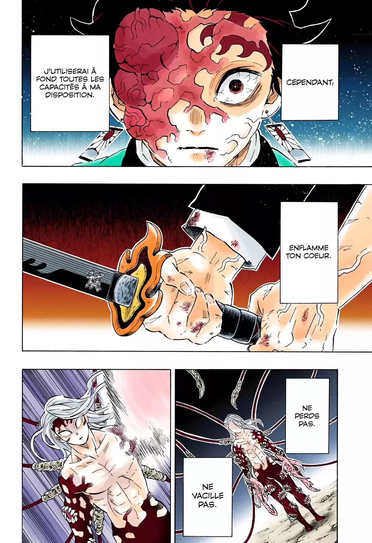 Demon Slayer Volume 22 page 73