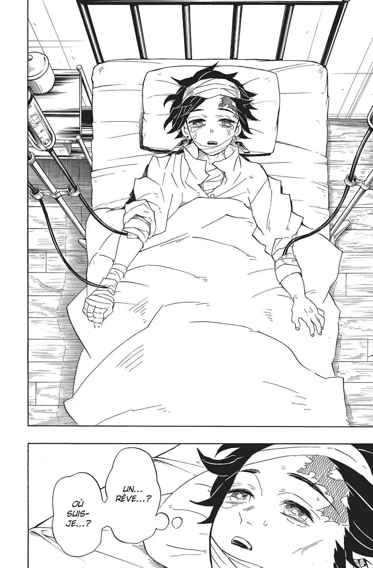 Demon Slayer Volume 12 page 43