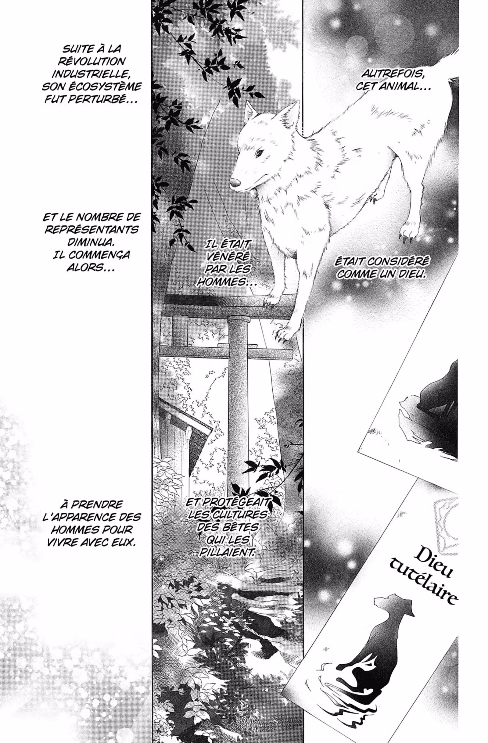 Wild Love Volume 1 page 69
