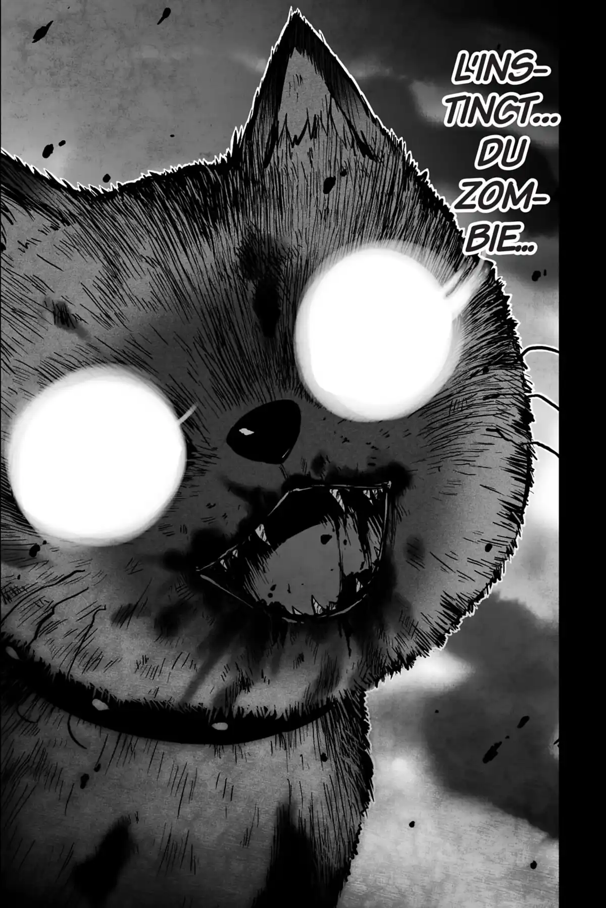 Sankarea, adorable zombie Volume 6 page 58