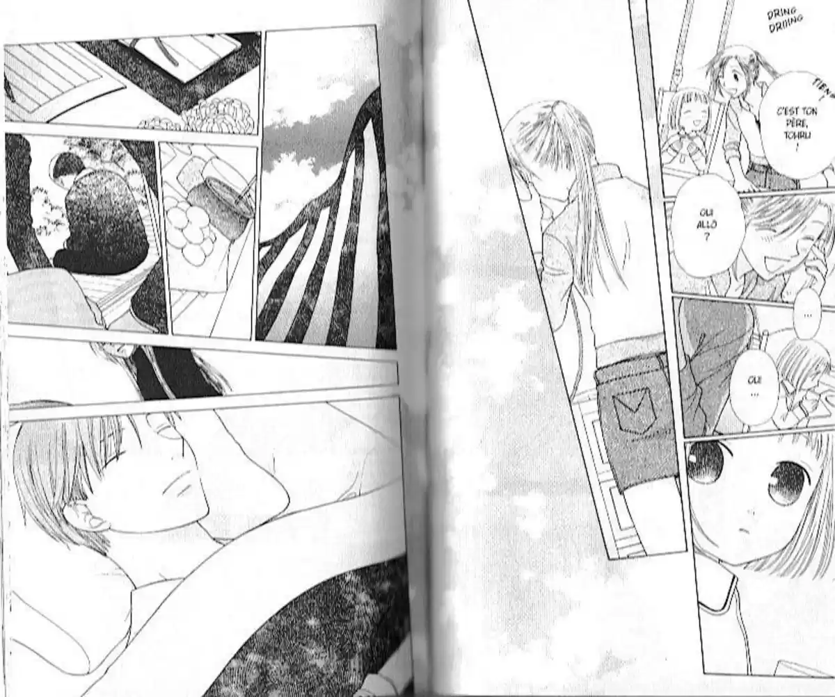 Fruits Basket Volume 16 page 45