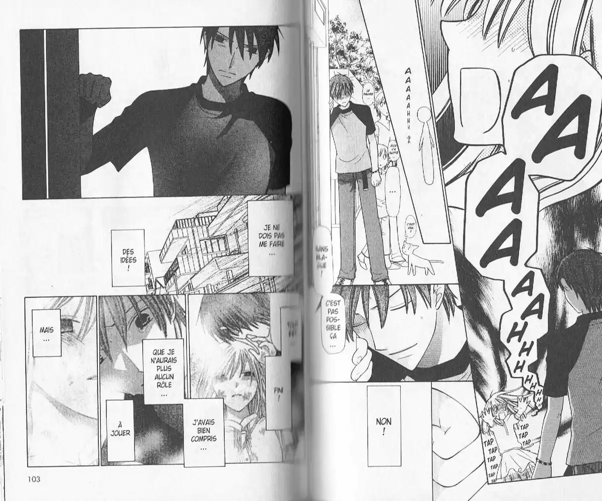 Fruits Basket Volume 22 page 51