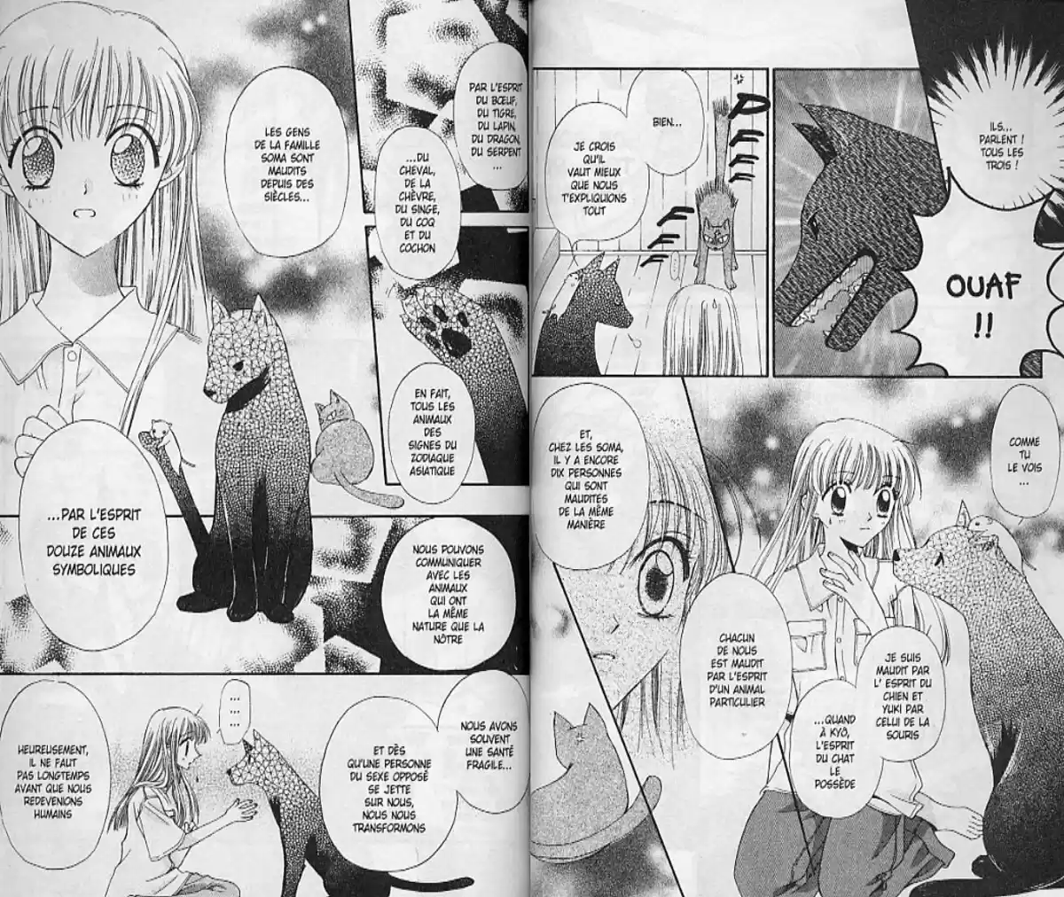 Fruits Basket Volume 1 page 29