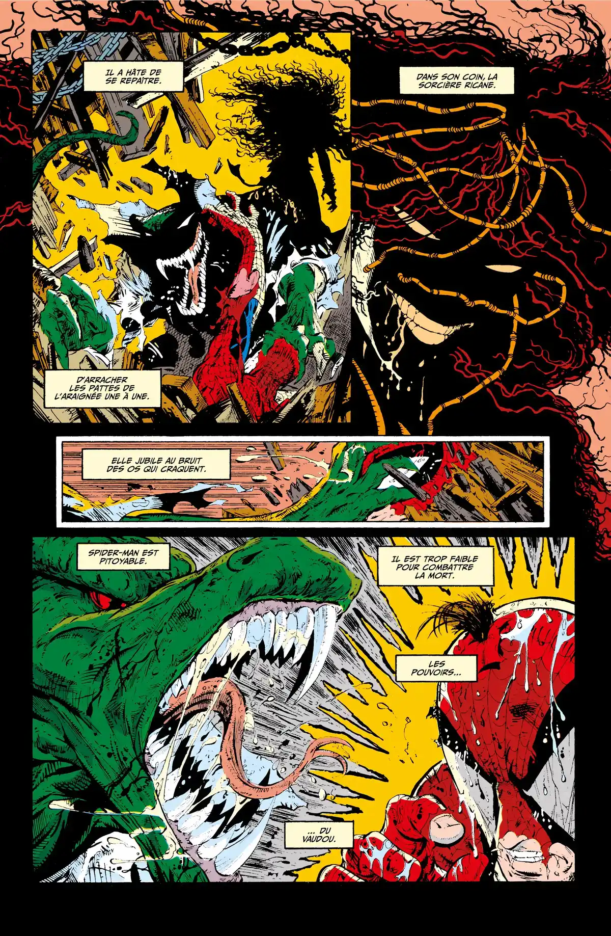 Spider-Man par Todd McFarlane Volume 1 page 105