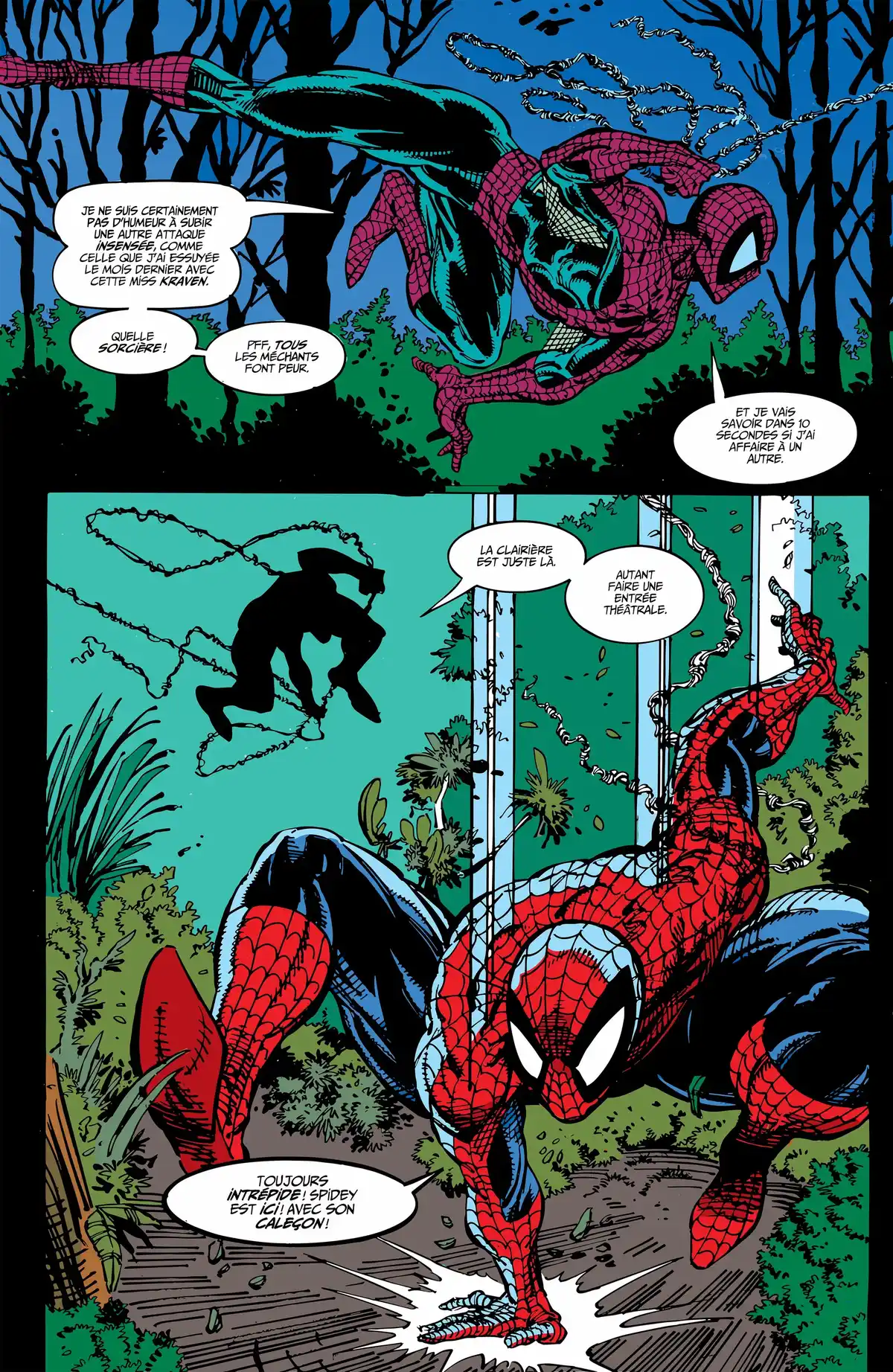 Spider-Man par Todd McFarlane Volume 1 page 217