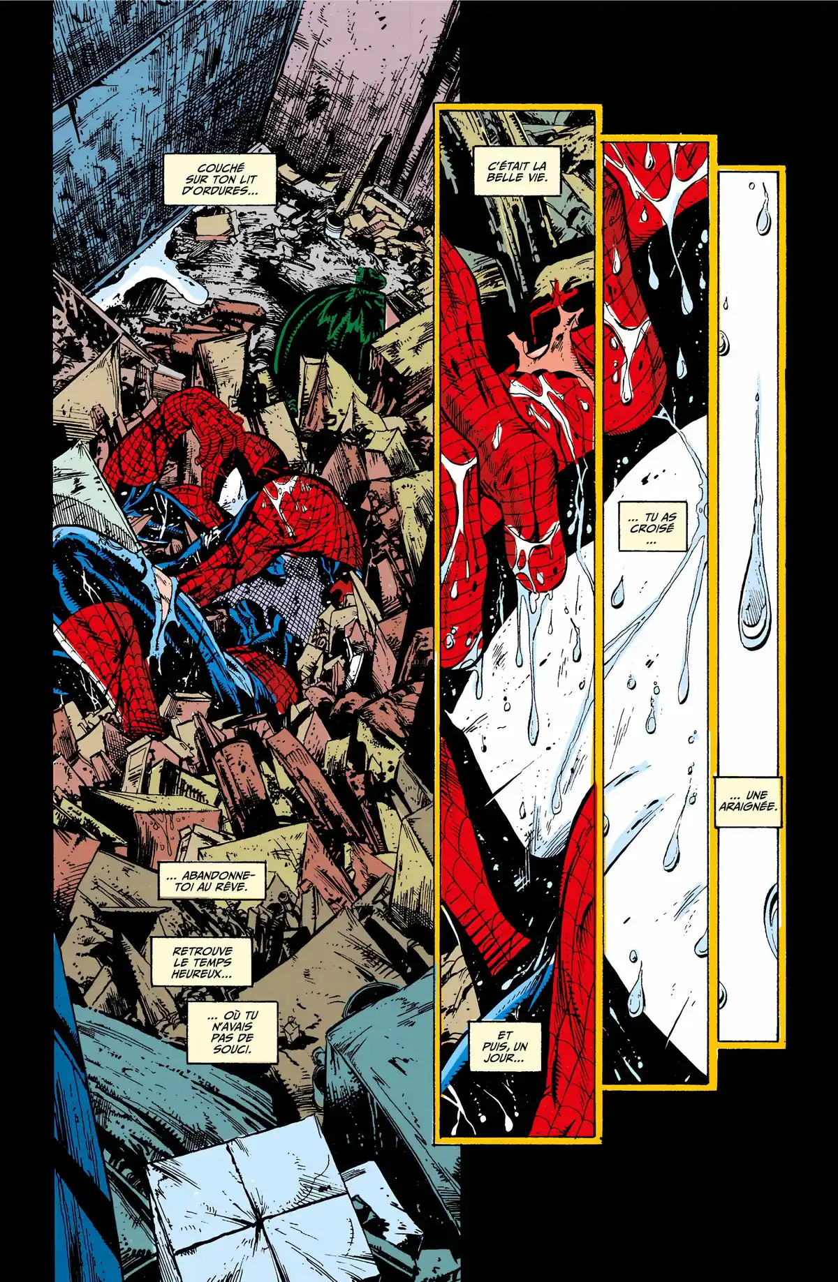 Spider-Man par Todd McFarlane Volume 1 page 62