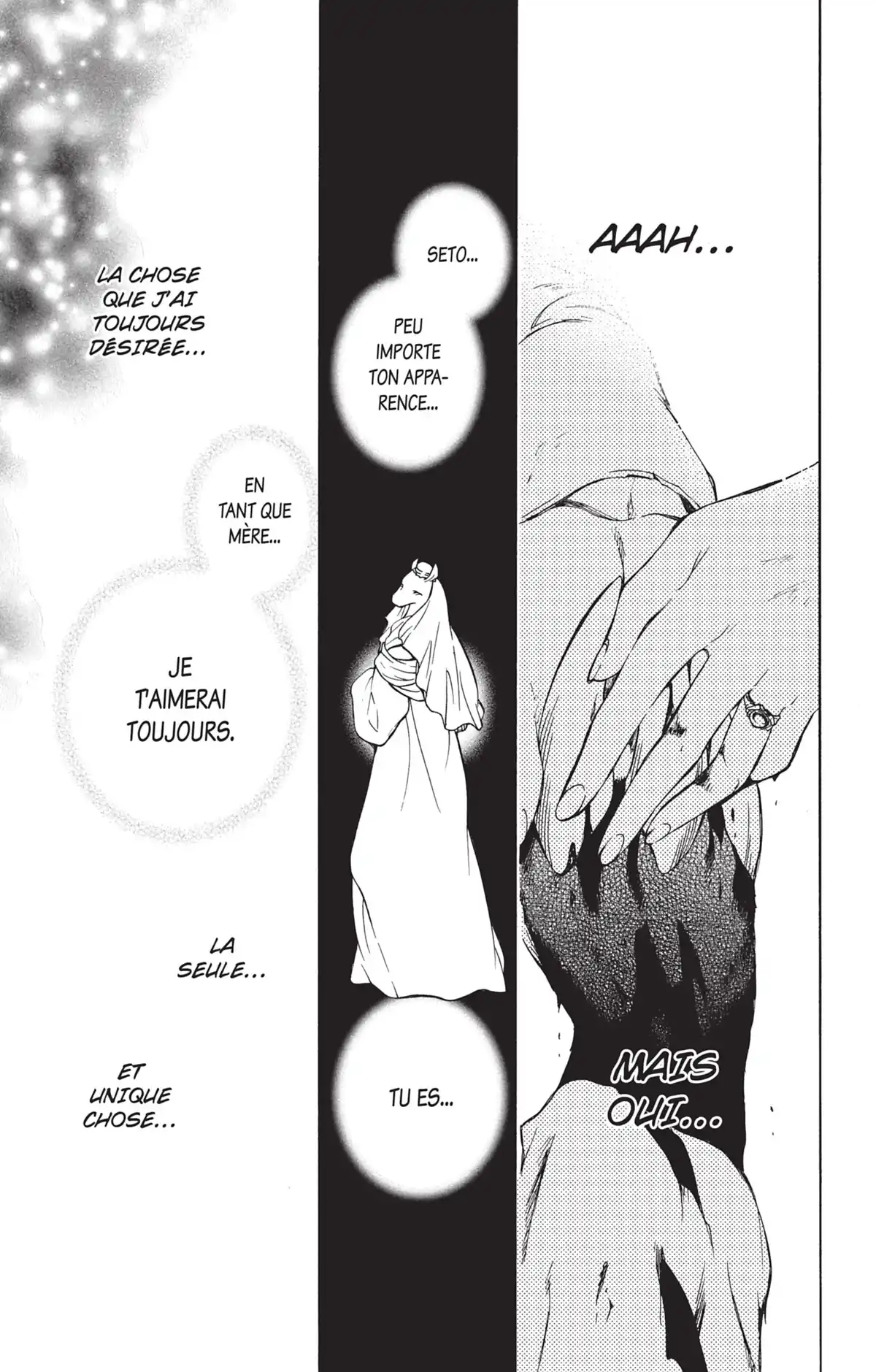 La Princesse et la Bête Volume 15 page 94