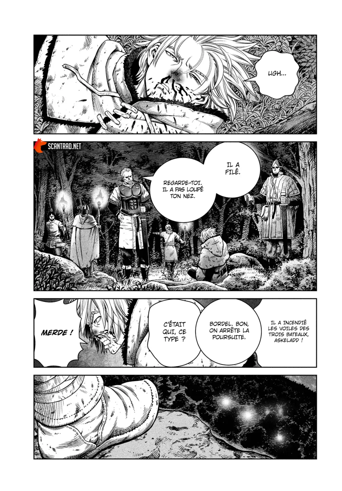 Vinland Saga Chapitre 176.5 page 5