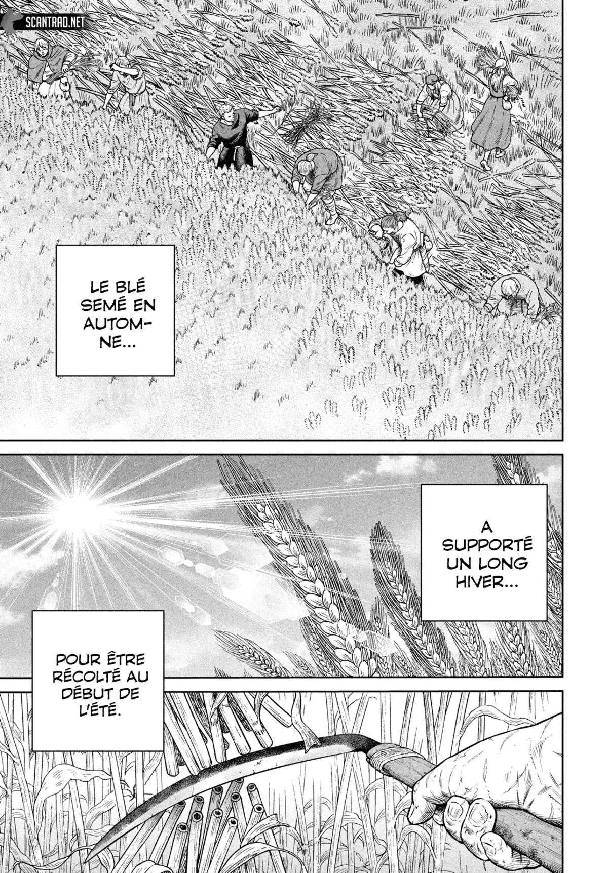 Vinland Saga Chapitre 191 page 3