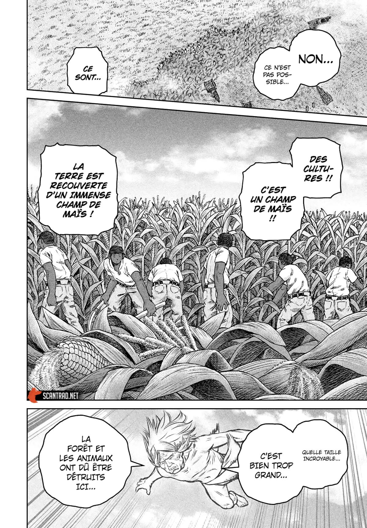 Vinland Saga Chapitre 189 page 14