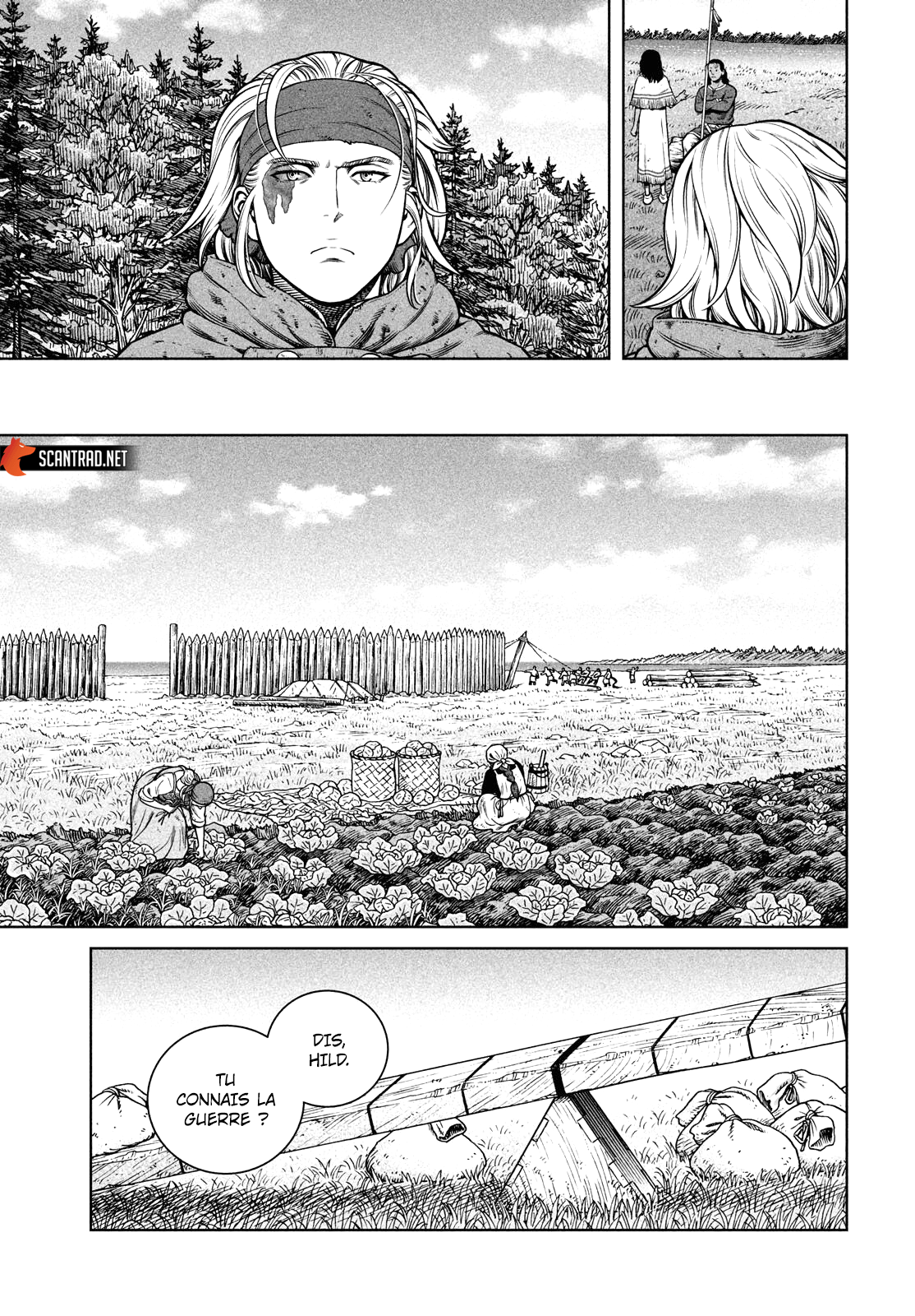 Vinland Saga Chapitre 198 page 9