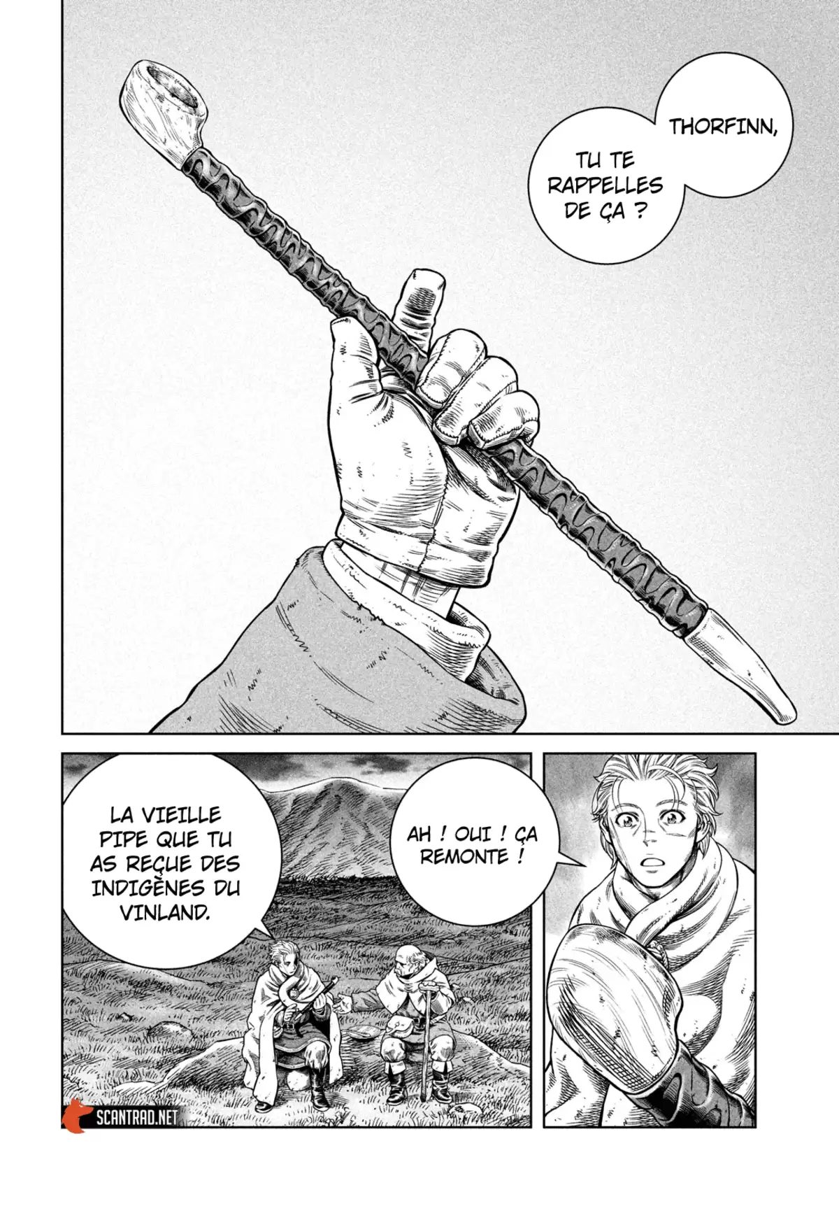 Vinland Saga Chapitre 176 page 13