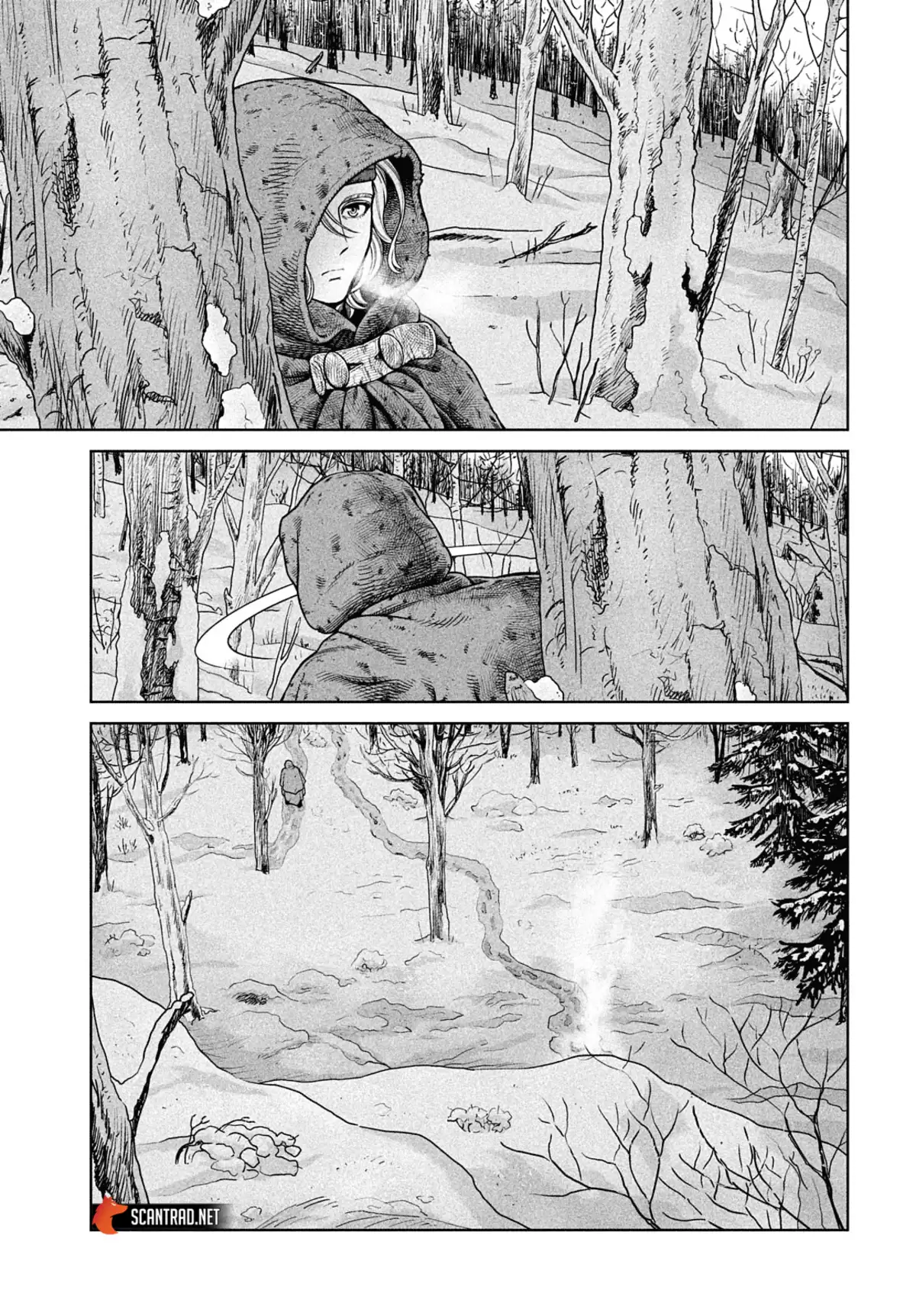 Vinland Saga Chapitre 188 page 13