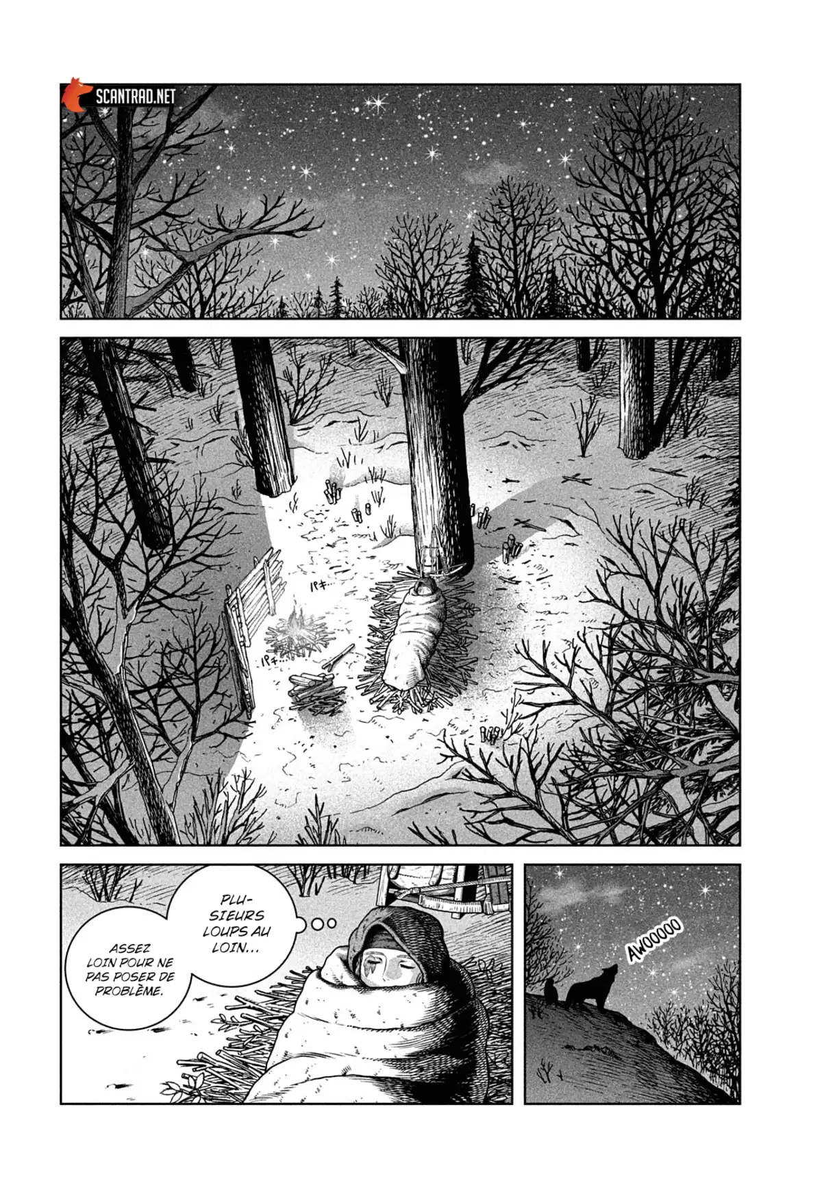 Vinland Saga Chapitre 188 page 14