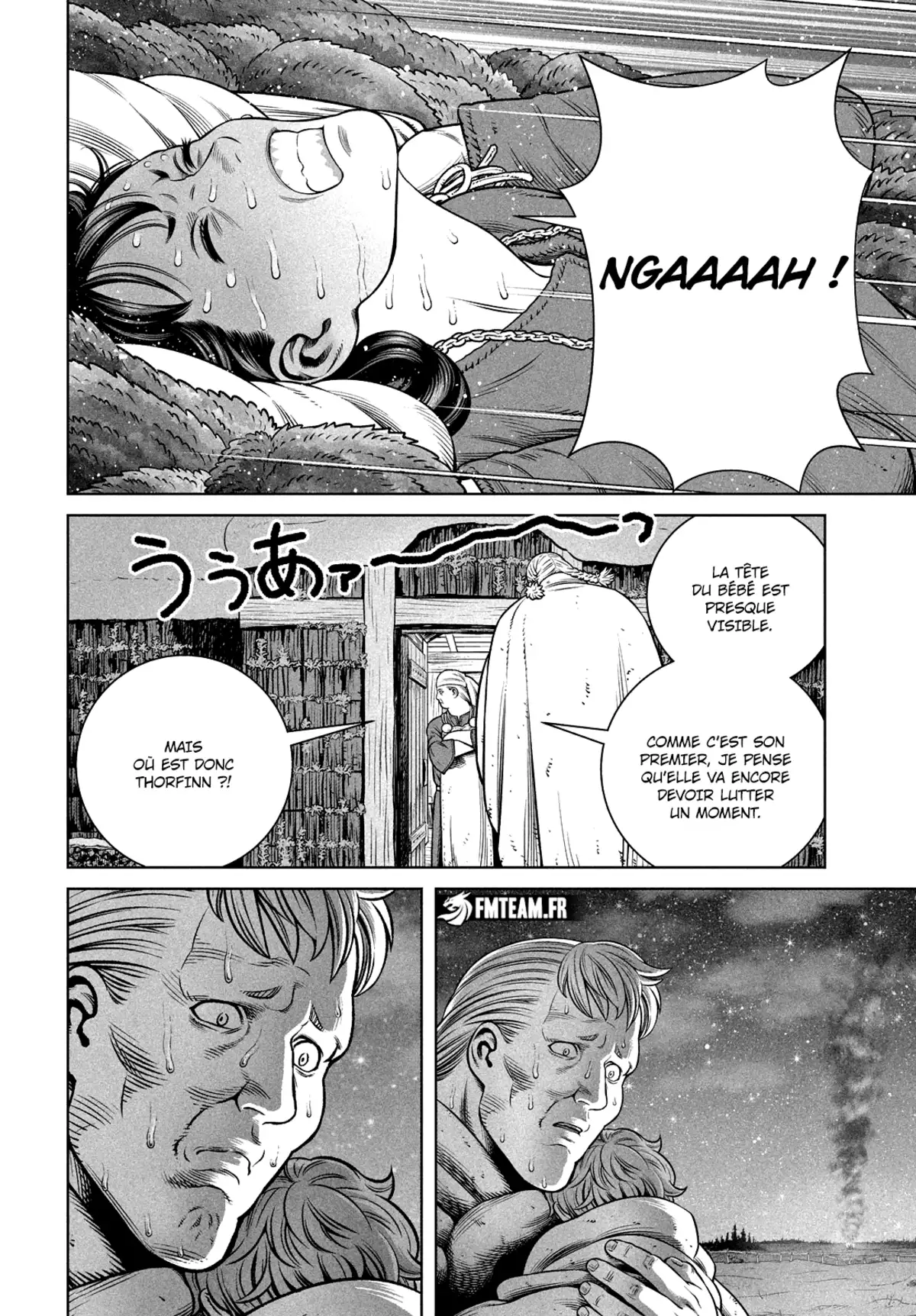 Vinland Saga Chapitre 207 page 17