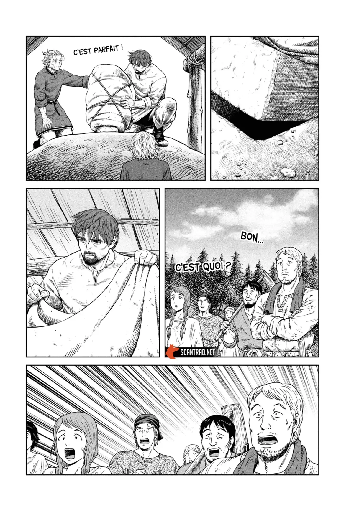 Vinland Saga Chapitre 181 page 12