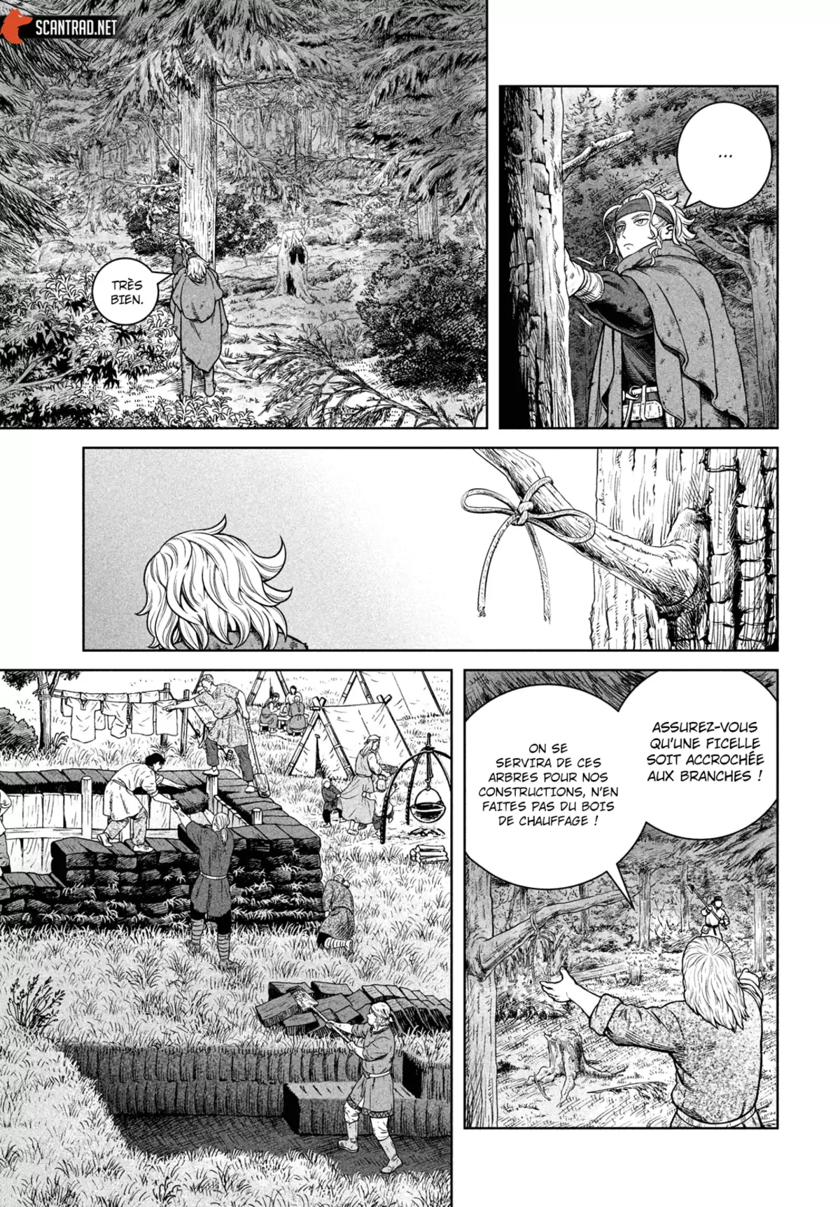 Vinland Saga Chapitre 181 page 3