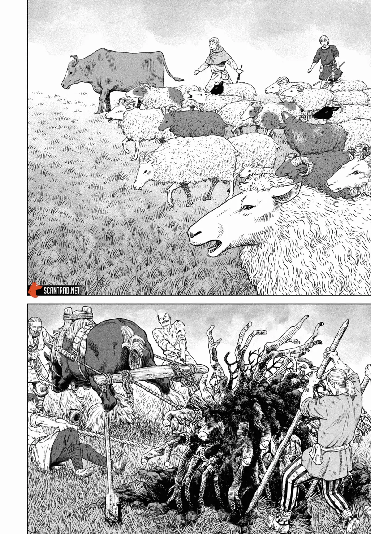 Vinland Saga Chapitre 181 page 4