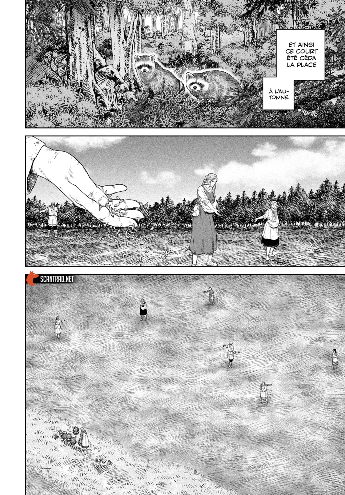 Vinland Saga Chapitre 185 page 12