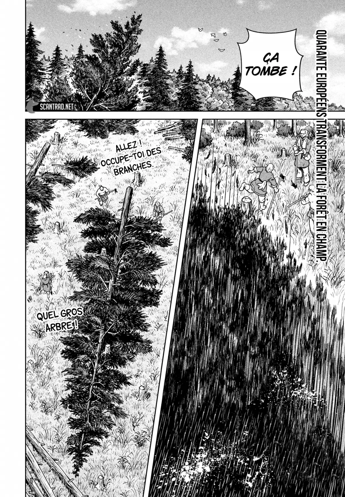 Vinland Saga Chapitre 183 page 2