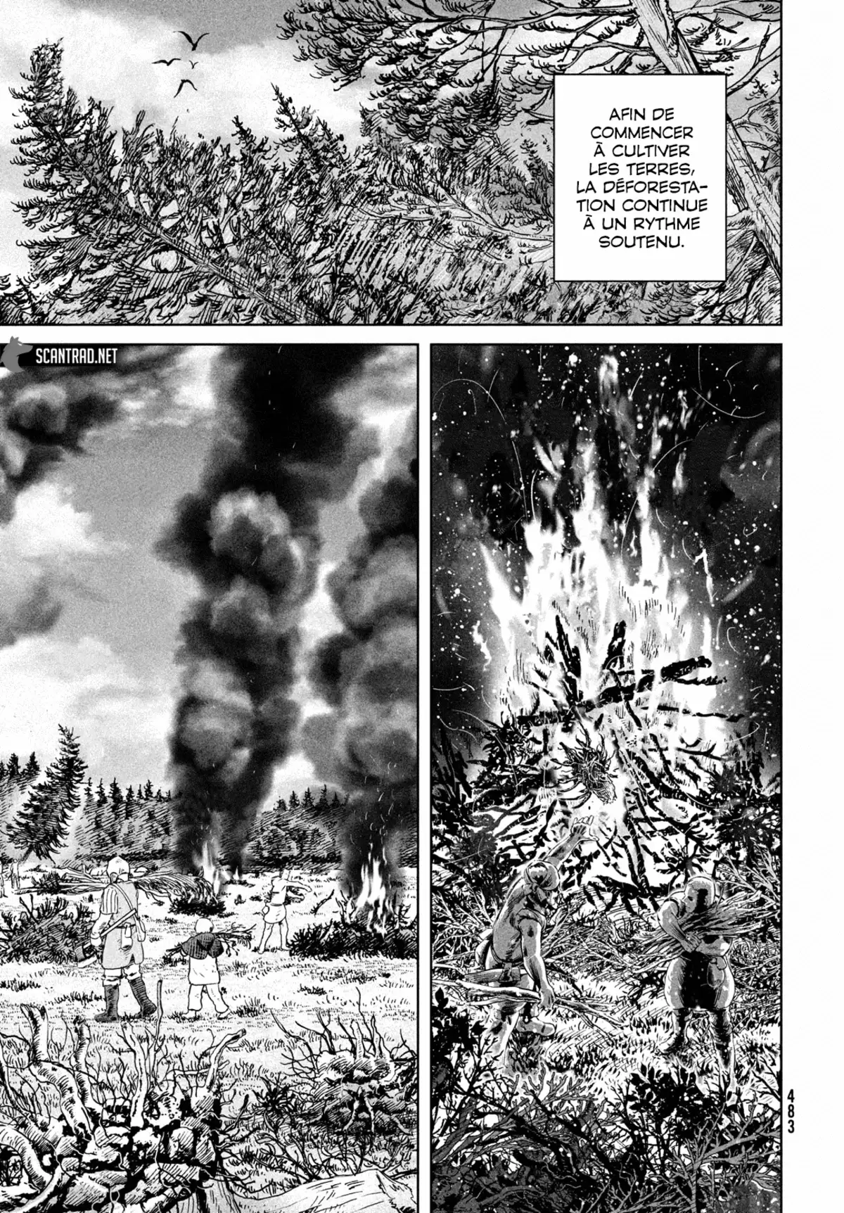 Vinland Saga Chapitre 183 page 3