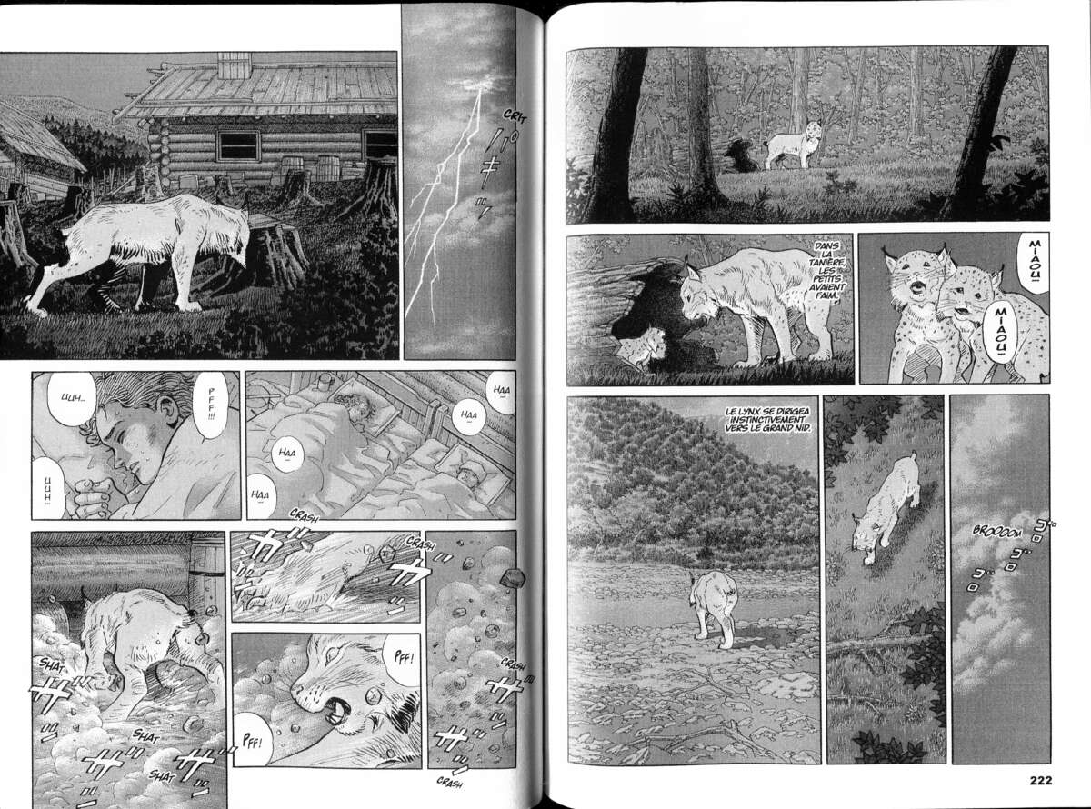 Seton Volume 2 page 112