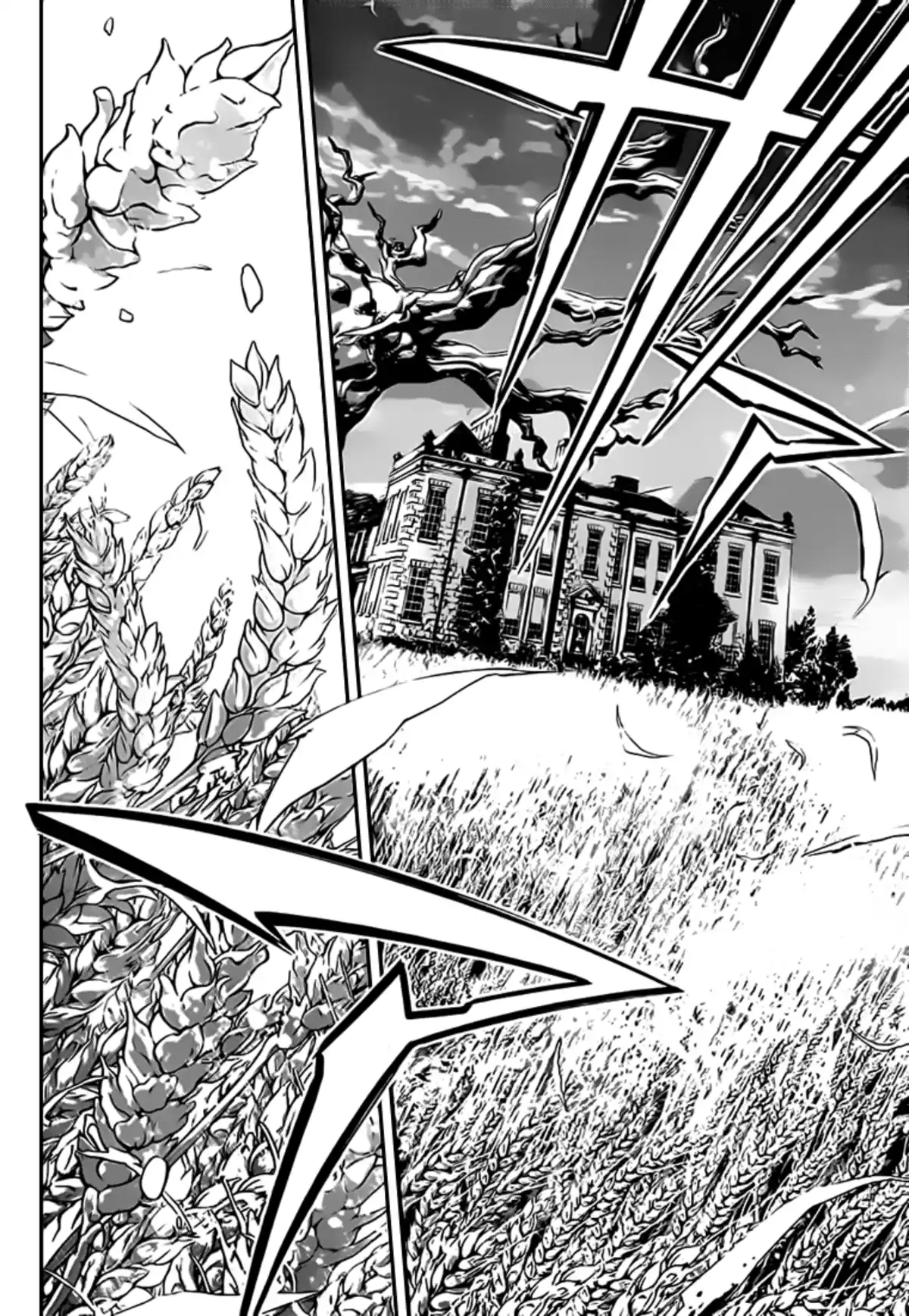 D.Gray-Man Volume 24 page 33