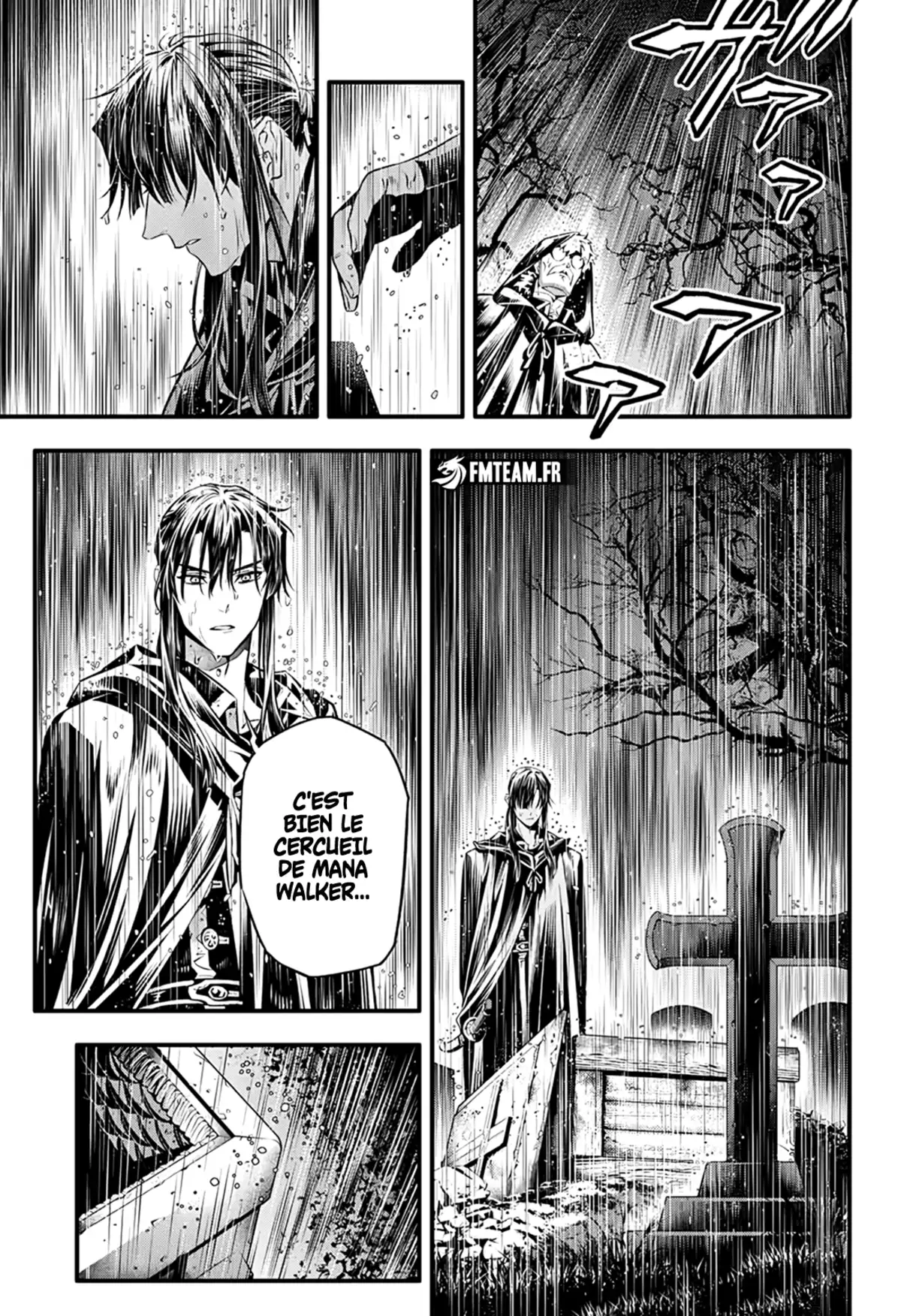 D.Gray-Man Chapitre 250 page 14