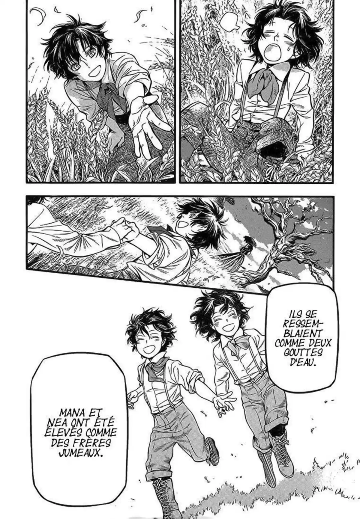 D.Gray-Man Chapitre 219 page 50
