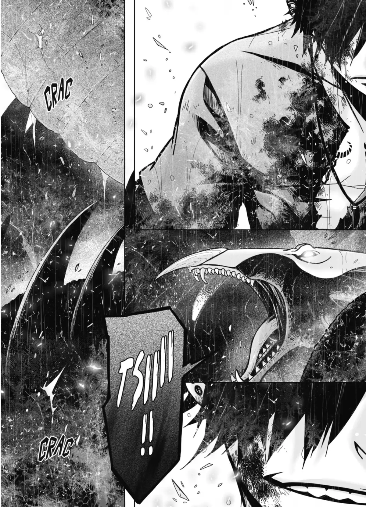 Stray Dog Volume 6 page 116