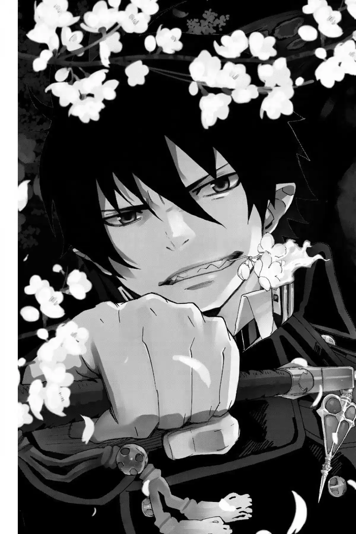 Blue Exorcist Volume 1 page 5