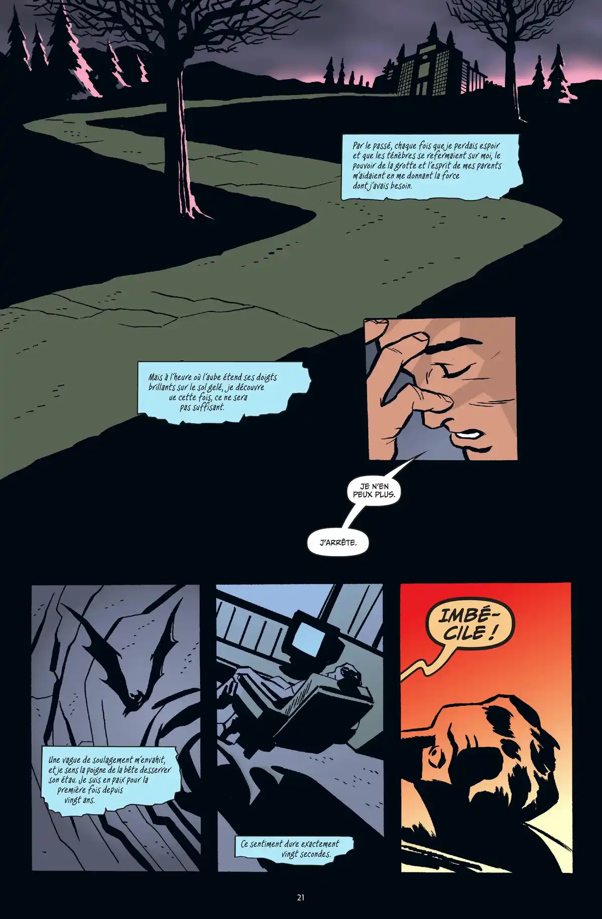 Batman : Ego Volume 1 page 17